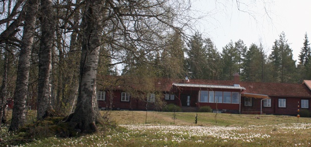 V�r och vitsippor i backen